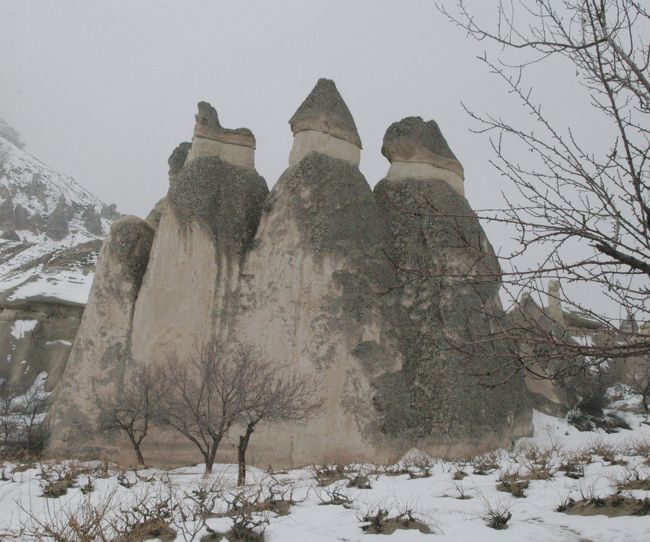 ウチヒサールのキノコ岩。<br />岩山の洞窟に土産物屋の若者の部屋があり、中を見せてくれた。<br />
