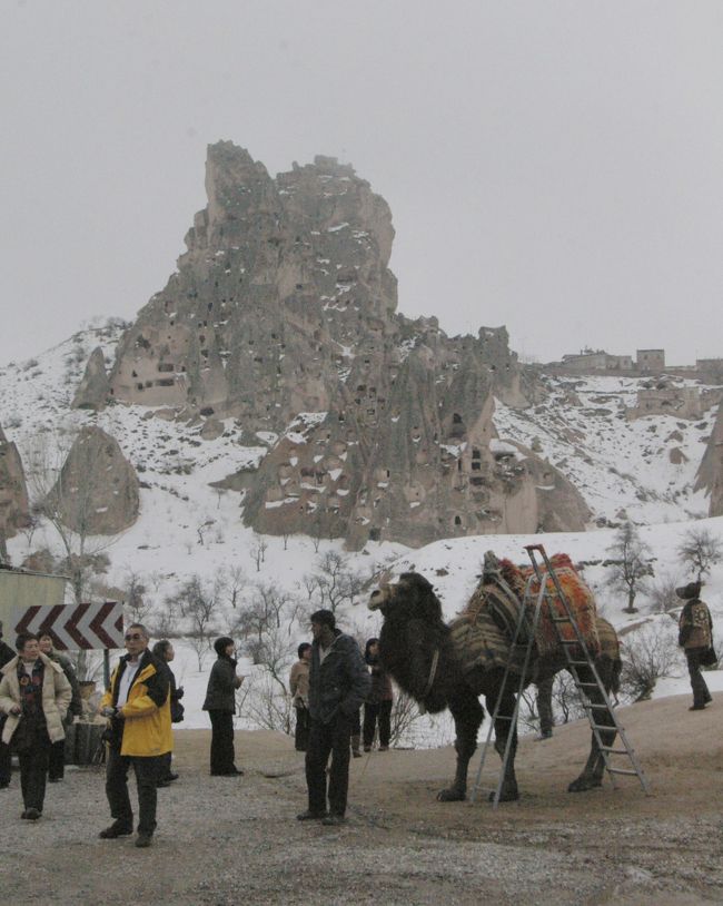 ラクダ岩に因んだのか、観光客用のラクダが居た。