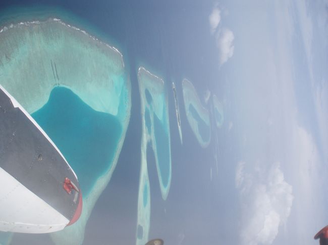 そうそうこういうのが見たかったよー！