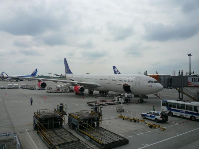 成田空港第一ターミナル南ウィングからスカンジナビア航空(SAS)で出国。 