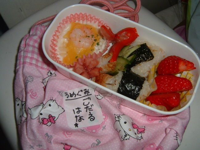 いきなり関係ない写真。娘の初弁当。
