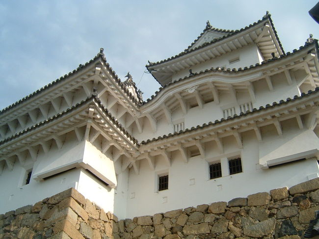 パパ撮影。どこから撮ったどこなのか・・・。