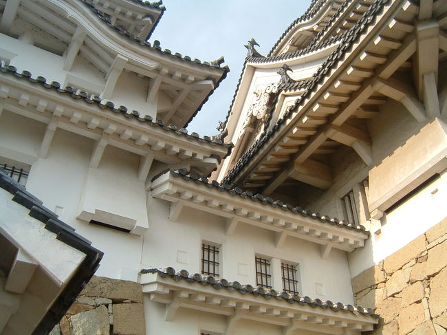 ほらほら・・・。