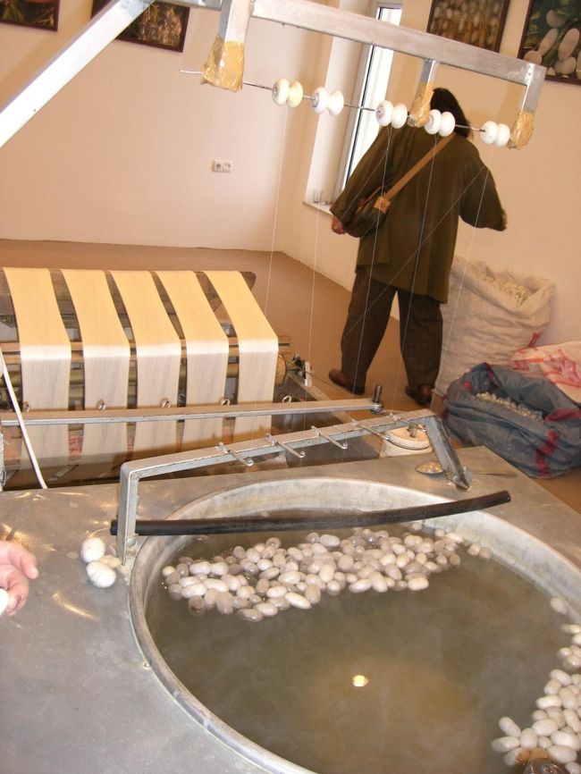 じゅうたんを作る過程！！