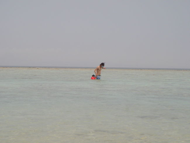 お魚もいっぱい泳いでます。<br />私がシュノーケルしてると、攻撃してきた魚もいました。（恐かったぁ）<br />