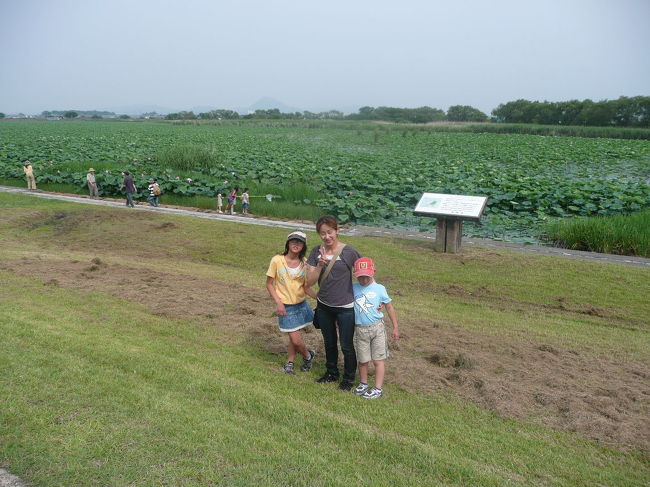 みずの森の前は蓮が広がっています。<br />国内最大規模だそうです。<br />よく○○最大規模とか、最大級とか言ううたい文句が？？？っと思う事があるのですが、ここは本当に最大規模だと思います。<br />この日は虫網を持っている子が沢山いました。