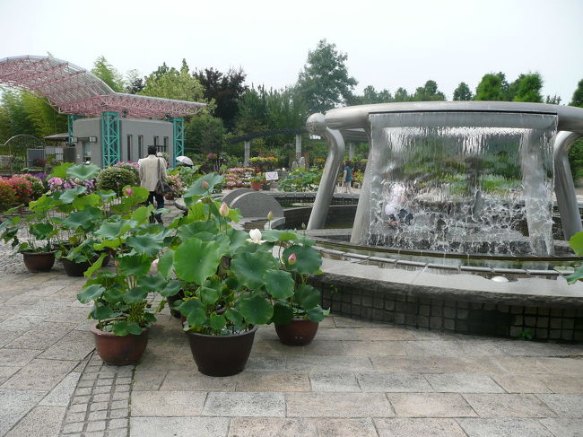 中に入ります。<br />きれいに整備されています。