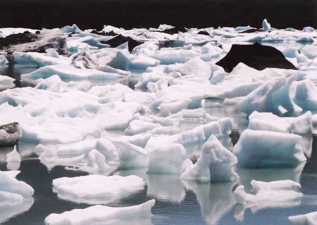 一面びっしりと氷で埋め尽くされています。