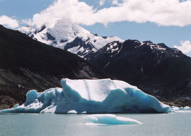 ウプサラ氷河の手前には大きな氷河がいくつも漂流しています。