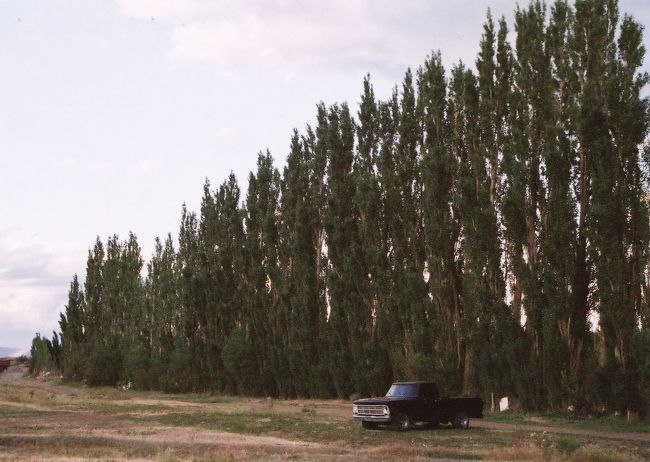 クルーズも終了し、カラファテの町で今日もパリジャーダを食べ、ワインのフルボトルを空けて、ホテルに戻りました。といってもまだ陽が沈まないので、酔い覚ましに夕陽を見に行きました。