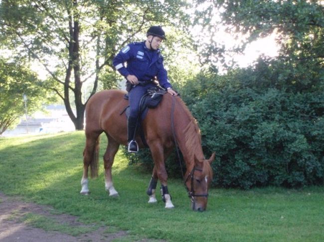 公園には乗馬している人がいました。<br />･･･ん？