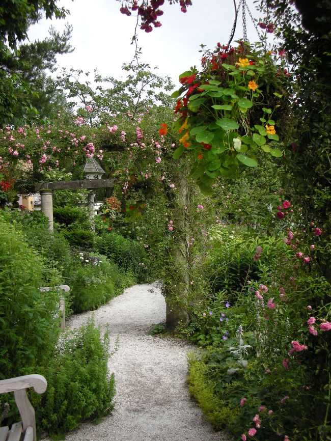 花のアーチが続いてました。