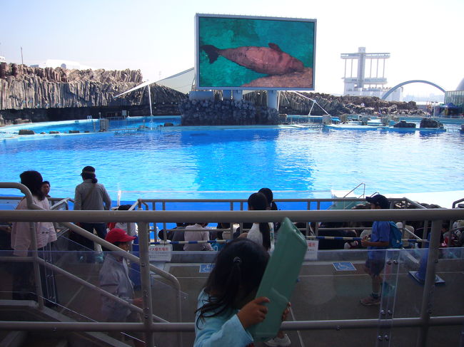シャチの「クーちゃん」・・・・・名古屋港水族館』名古屋港(愛知県)の