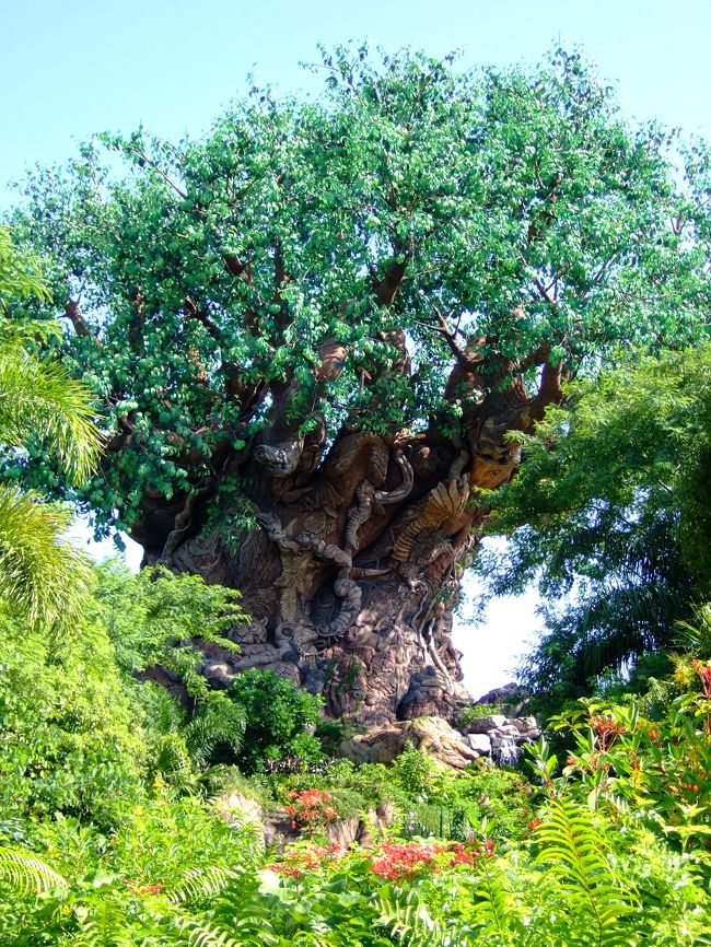 ディズニーワールドアニマルキングダム オーランド アメリカ の旅行記 ブログ By ポチポチさん フォートラベル