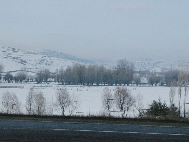 北に行くにつれ、雪原に変わる。