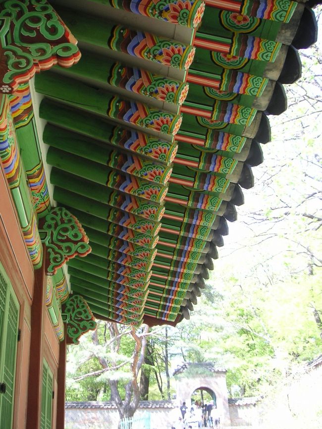 鮮やかな軒裏。<br />