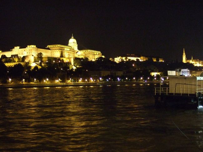 揺れるのでなかなか難しいです・・・