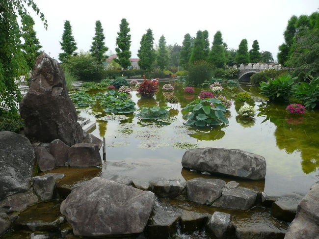 それでも、きれいな庭になってます。