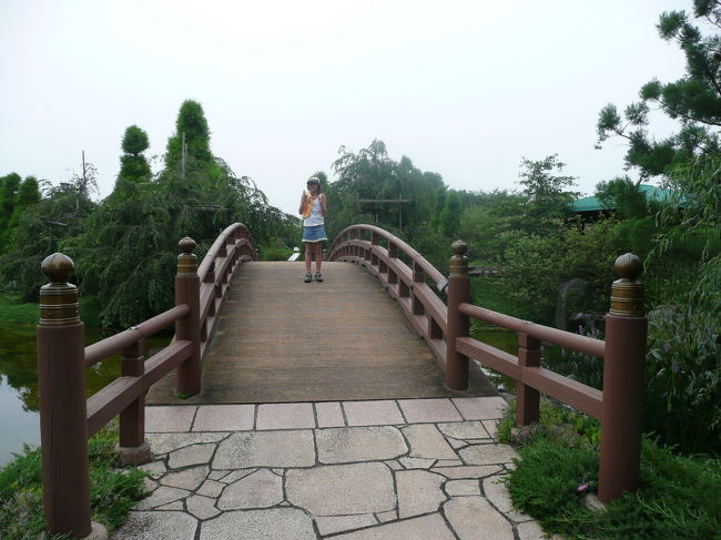 この橋も息子が喜びそうでしたが、息子はロータス館の中で涼んでました（汗）