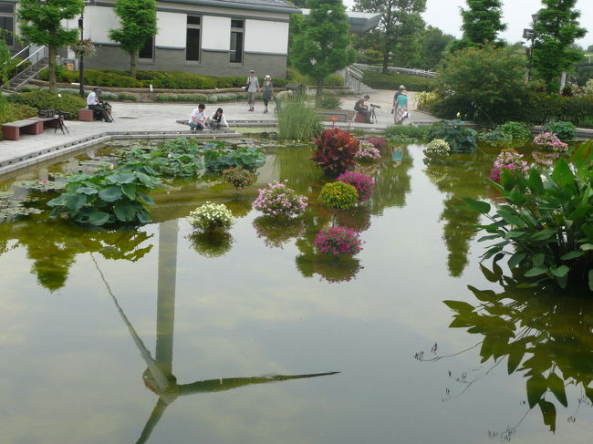 風車があります。