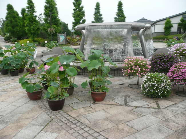 ついつい噴水の前で写真を撮ってしまいます。