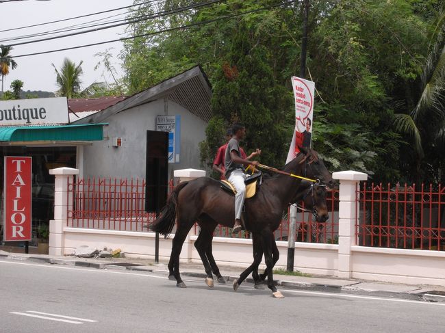 ビーチでは乗馬もやっていました。ただし暴れん坊将軍のように駆けるようなものではなく、現地の人が綱を引っ張ってのんびりお散歩です。<br />このお馬さんたちは恐らくこれから仕事に向かうのでしょう。