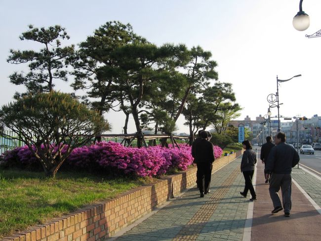 左手に、入り江になった波止場が見える場所までやって来ました。夕食の前に、翌日の紅島までのフェリーの運行状況の下調べの方が先です。