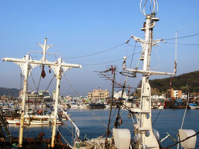 白いマストが2本並んだ漁船です。マストの間には二本の通信線が張られていました。電球はありませんでしたから、イカ釣船以外の漁船のようです。