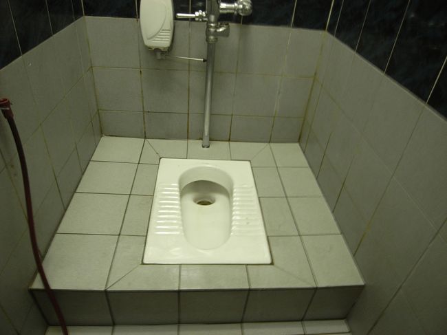 初めてマレーシア式のトイレに出会いました。<br />チップ２０セン（０．２リンギット）、ペーパー付だと３０センでした。健康体なので食後３０分くらいするとどうしても催してくるので、街中ではマレーシアスタイルのトイレと仲良くしていくことになります。（ホテルは洋式でした）<br />驚いたのはＩＮＡＸ製の便器だったことです。<br />ちなみに写真は別のところで撮りました。<br />（すみません、長くなりました）<br />