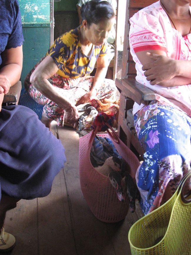 ピンクのプラスチックカゴのアヒルはおとなしい。<br />食べ物としての鳥には慣れていたんだけど。<br /><br />前の座席の普通の男性の懐から、ペットの鶏(チャボに似ている)が手品のように出てきたときは驚いた。周りの人も平然と撫でている。撫でられるとおとなしくしていて、ほんとに可愛い。<br /><br />後に同じモン州のタトォン(Thaton)の生ビール屋さんで飲んでいたときも、懐から出てくるペットの鶏を見た(たぶん後述)。モン州に独特のものなのかな？　ご存知の方はお教えください。
