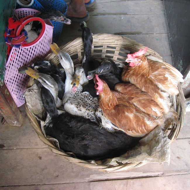 束縛のゆるさに愛を感じる……というのは言い過ぎかな。