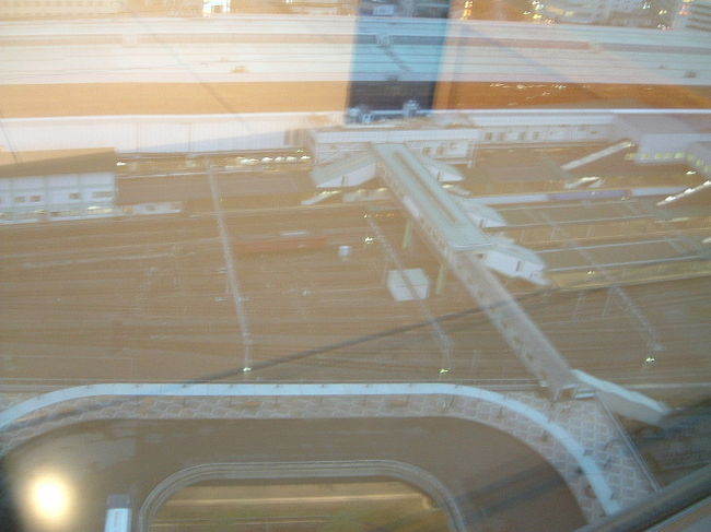 盛岡駅を見下ろしてみます。<br />ガラス越しなので<br />光が反射してしまって写真ではよくわかりませんが、<br />列車の発着を見ることができて楽しいです。