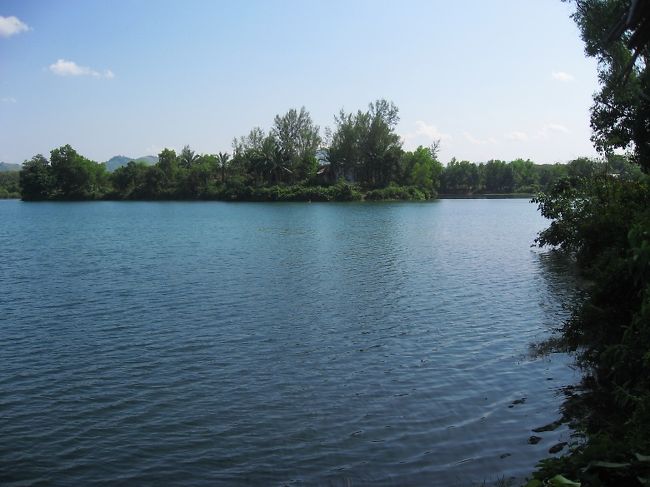 見ているだけで落ち着くし嬉しくなる。<br /><br />とくに乾季のミャンマーでは。