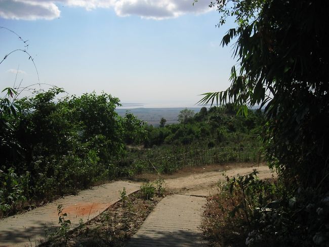 一応トラックバスが通れるようになっているけど、早朝の一便だけ運行しているもよう。