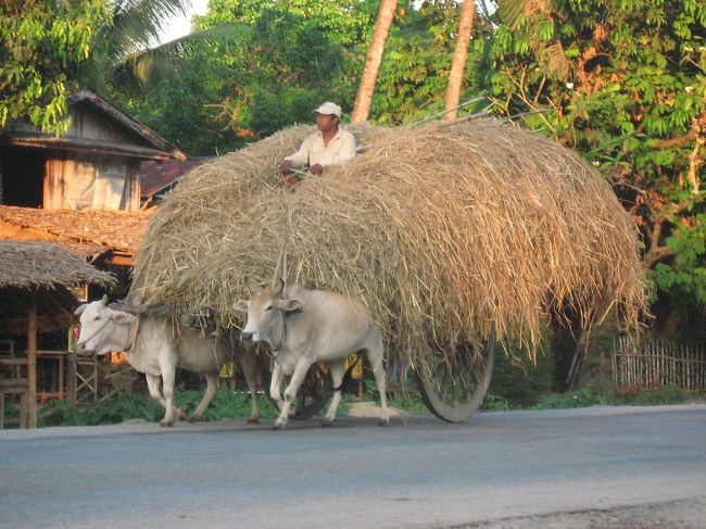 道路沿いの雑貨店で休憩しながら、帰りのピックアップを待つ。<br /><br />ここには山から流れでた澄んだ水をためた水槽がある。人々が水浴びに訪れたり、トラックがラジエーターに給水したり。