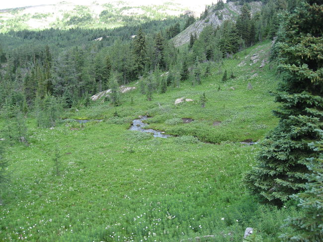 滝からの水が川となって流れていきます。