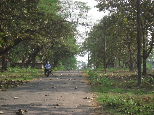 もう12月。ミャンマーでも秋を感じることは多い。<br />でもそれは実りの暖かい光だった。<br /><br />ここではじめて晩秋を感じた。