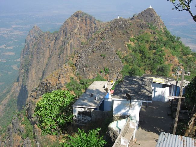 猿がいっぱい。