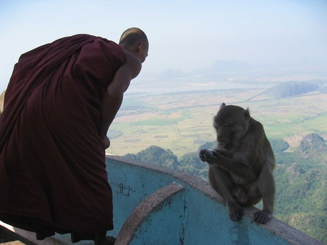 飄々とした所作のお坊さまと、やんちゃな猿。