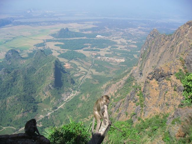 一番奥がサルウィン川。その手前がパアンの街。一番手前が猿。