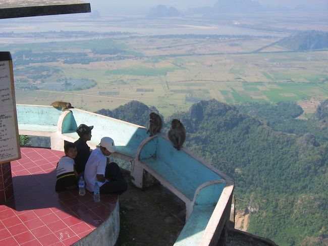 餌をやると、けっこう凶暴なので注意。