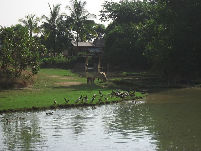 付いていったら桃源郷。