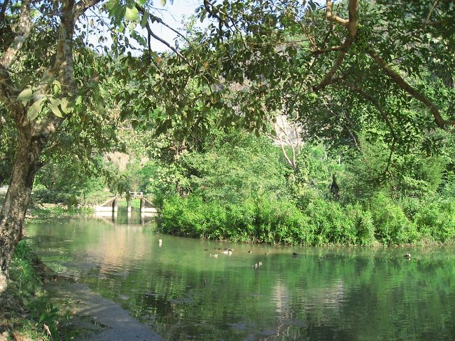 澄んだ水の流れをさかのぼる