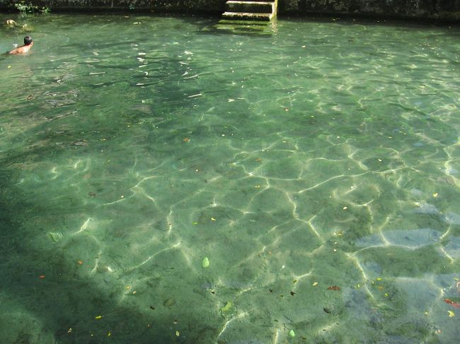 澄んだ水がこんなに！