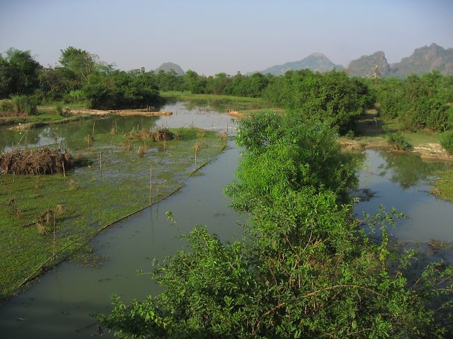 帰り道。水郷。
