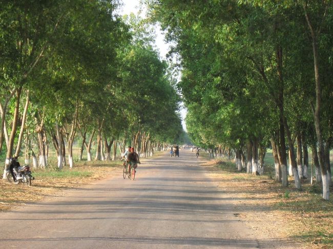 並木道をパアン市街へと急ぐ。<br />この道も路面良好。