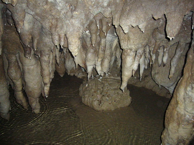 おきなわワールドの中にある、玉泉洞。東洋一の長さの鍾乳洞だって。鍾乳洞はわくわくしますね。