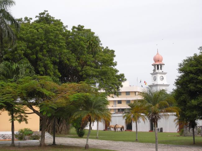 時間が無かったので近くまで行けませんでしたが時計台です。