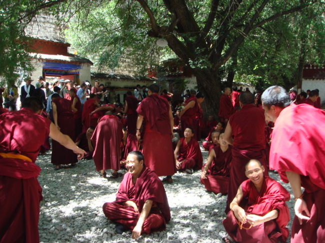 100年以上前に日本人僧侶が仏教を学んだ、セラ寺では午後に<br />なると修行の一種、問答が見学できるが、何かパフォーマンス<br />的なものに、これまたがっかり… <br />でも裏口から塀を乗り越え、入場料を払わないという、悪いこ<br />とをしてしまったので、文句は言えないか… <br />ほかの寺もこっそりタダではいったり、最近はとっても悪いこ<br />とをしてしまってる… <br />いつか罰が当たるのでは。。。 <br />