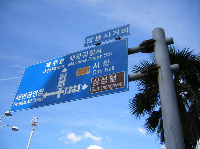 やしの木が南国気分です